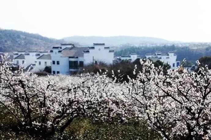 发热时可以吃鸡蛋 对体温影响微乎其微